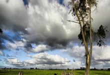 开云体育-法国网球队逆转日本强势出击，纳达尔助阵再登巅峰！