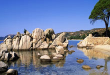 开云官网-德国网球队爆冷击败美国队，穆雷高光闪耀引爆赛场热潮