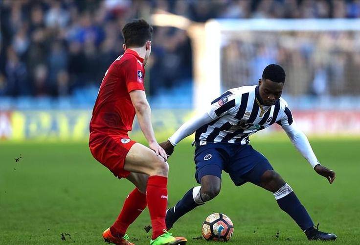 南特主场输给勒哈弗，法甲比赛实力对决的简单介绍