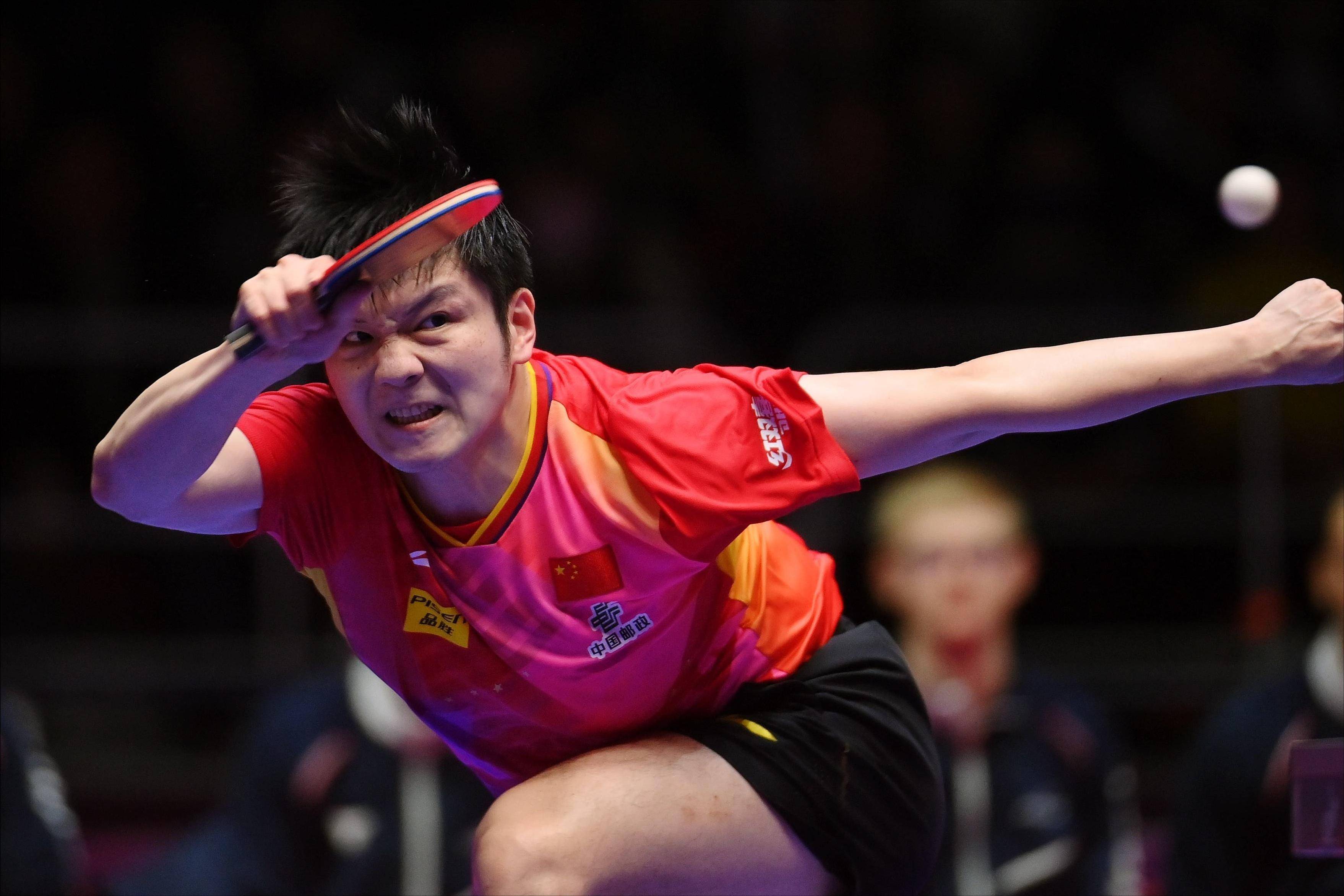 中国队力克波兰队，樊振东状态火热的简单介绍
