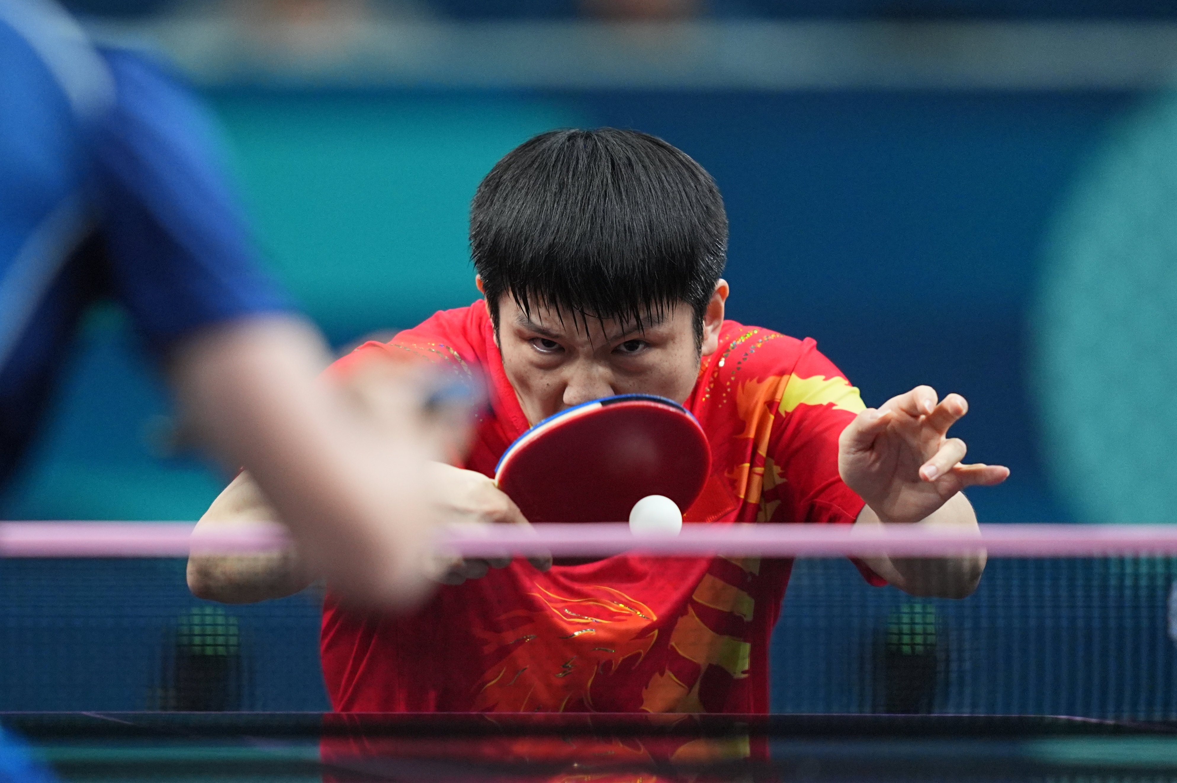 中国队力克波兰队，樊振东状态火热的简单介绍